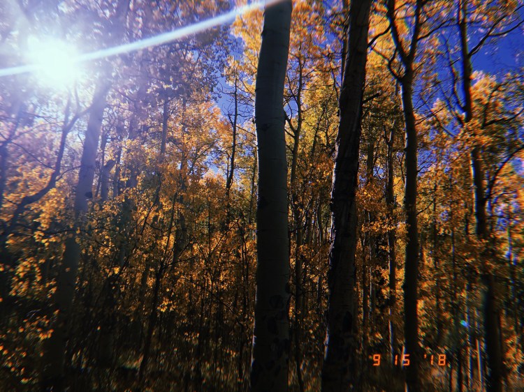 2018-09-15 17:55:10.805